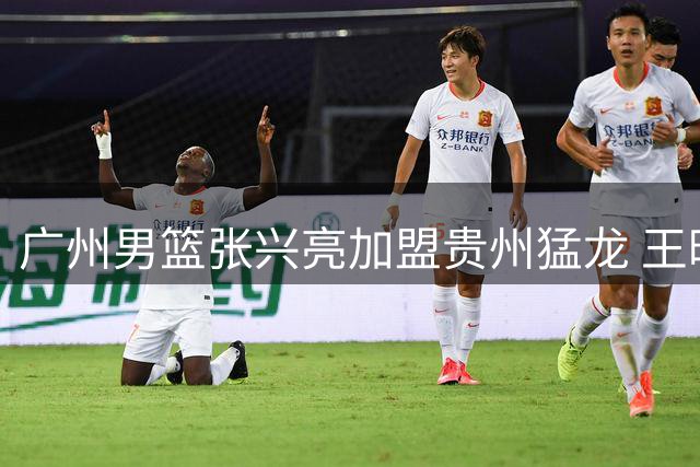 广州男篮张兴亮加盟贵州猛龙 王映然转投杭州经纬
