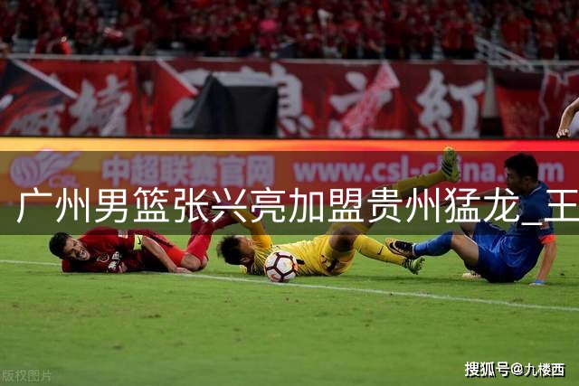 广州男篮张兴亮加盟贵州猛龙 王映然转投杭州经纬